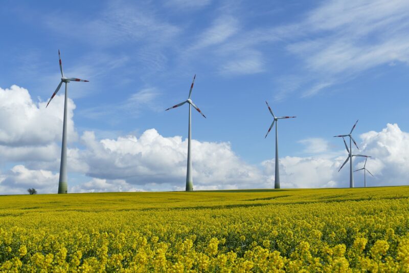 Fotografía de molinos de viento, aerogeneradores de energía eólica. / Fuente: Pixabay/Haide.