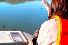 Fotografía ilustrativa del artículo