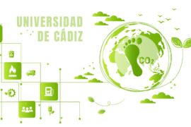 Fotografía ilustrativa del artículo