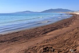 Fotografía ilustrativa del artículo