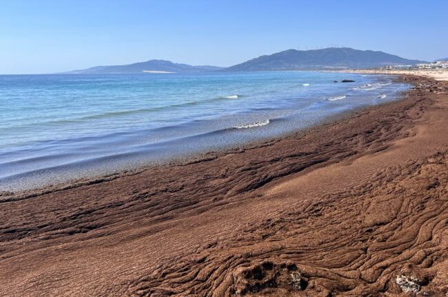 Fotografía ilustrativa del artículo