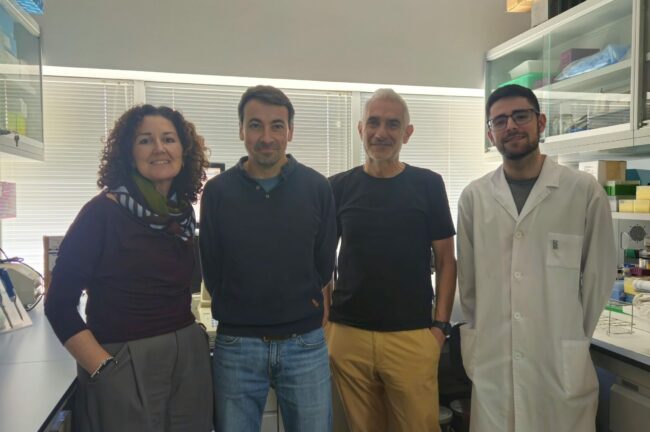 Fotografía ilustrativa del artículo