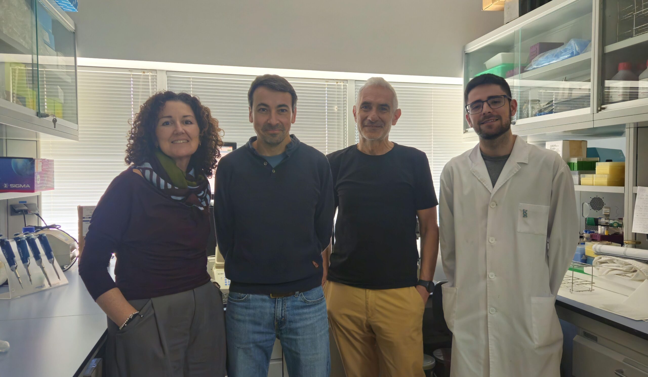 Fotografía ilustrativa del artículo